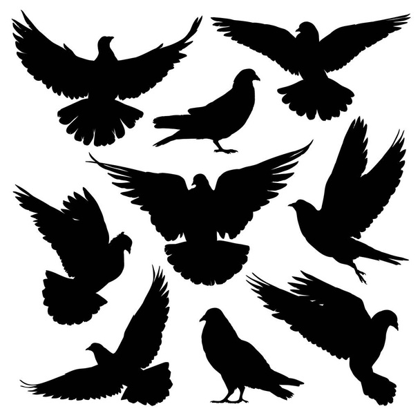 Doves or pigeons silhouettes set. Vector illustration - Вектор,изображение