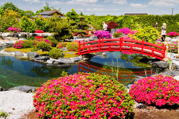 Japonská zahrada na jaře - Fotografie, Obrázek