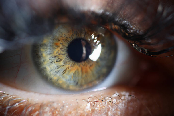 Ojo humano de cerca
 - Foto, Imagen