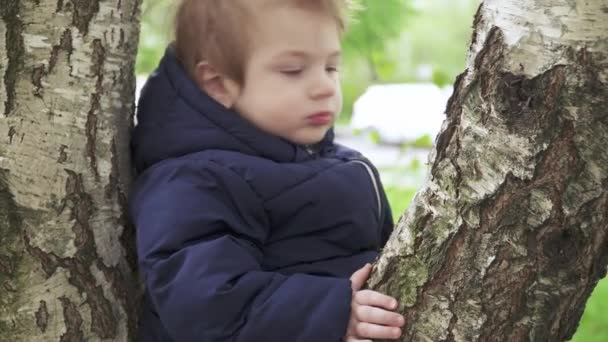 Boy on a birch in park - Filmati, video
