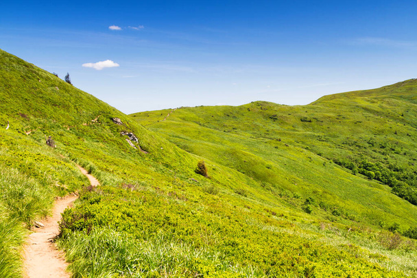 Mountains scenery. Panorama of grassland and forest in Bieszczady National Park. Carpathian mountains landscape, Poland. Bieszczady are part of Beskid mountains which a part of Catpathian mountains. - Photo, Image