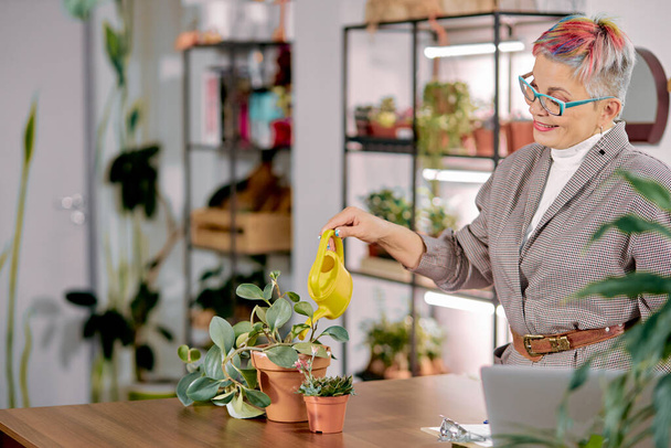 Attentive businesswoman watering plants in office - Фото, изображение