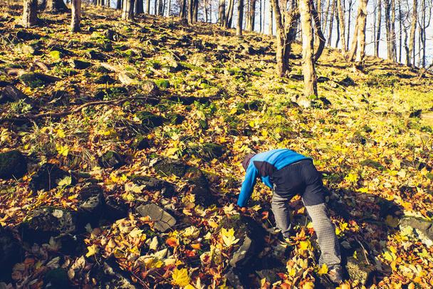 El chico está subiendo al pico de la colina pedregosa. Campo de escombros con rocas de basalto cubiertas con hojas caídas de otoño
. - Foto, imagen