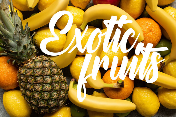 vista superior de coloridas frutas de verano deliciosas e ilustración de frutas exóticas
 - Foto, Imagen