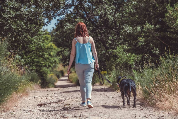 A female walking with black Staffordshire Bull Terrier on a path through the greenery - Foto, imagen