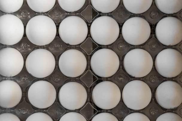 A top view of an egg carton in a black background - Zdjęcie, obraz