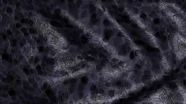 Looped Leather Background Snake or Crocodile Skin Motion Animation - Felvétel, videó