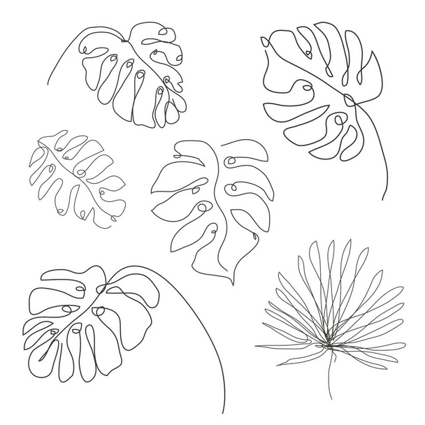 Decorative hand drawn tropical leaves set, design elements. Can be used for cards, invitations, banners, posters, print design. Continuous line art style - Vecteur, image