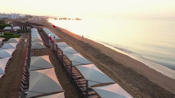 サンベッドと太陽の傘のある砂浜のトップビュー. - 映像、動画