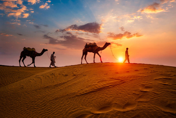 Camaleadores indios camello conductor con siluetas de camello en dunas en la puesta del sol. Jaisalmer, Rajastán, India
 - Foto, imagen