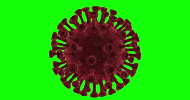 Koronaviruksen covid-19-taustasilmukan animaatio - Materiaali, video