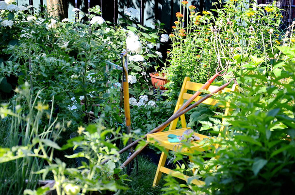 Herramientas de jardín y verduras en un huerto urbano durante la pandemia del Coronavirus - Foto, imagen