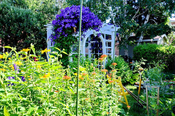 Садовые инструменты и овощи в городском саду во время пандемии коронавируса - Фото, изображение