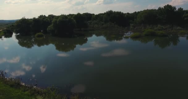 Un fiume allagato filmato con un drone da un'altezza in estate - Filmati, video
