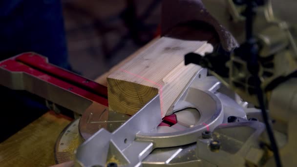 Carpintero utiliza sierra circular con vigas de madera de corte por láser. Primer plano - Metraje, vídeo