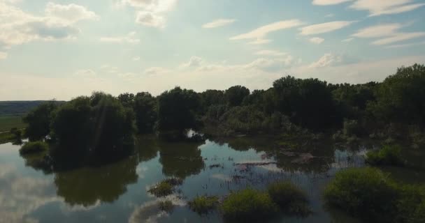 Une rivière inondée filmée avec un drone d'une hauteur en été - Séquence, vidéo