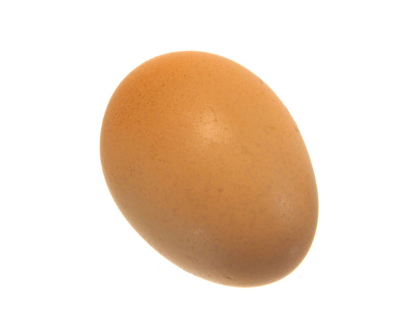                                kananmuna eristetty valkoisella pohjalla - Valokuva, kuva