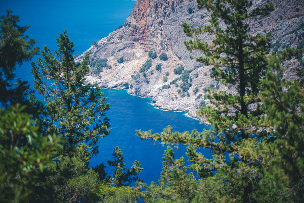 Beautiful landscape. Pine forest in the hills on the shore of the blue sea. Mediterranean Sea, travel to Turkey. Faralya Village - Φωτογραφία, εικόνα