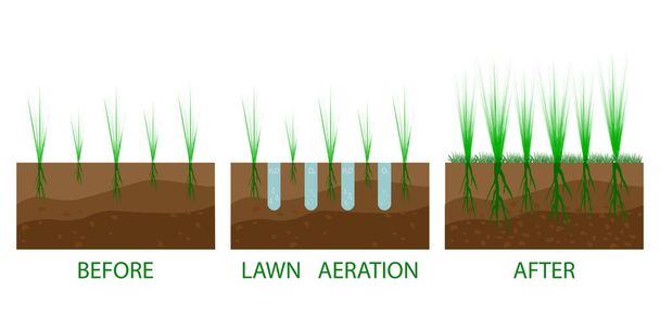 Proces provzdušňování trávníku - před a po. Provzdušňování trávníku. Zahradní péče o trávník, zahradní služby. Vektor izolovaný na bílém pozadí - Vektor, obrázek