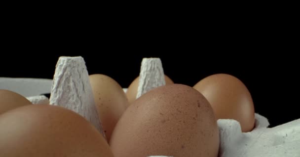 scatola di uova super macro primo piano sparare  - Filmati, video