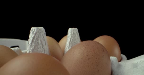 laatikko munia super makro lähikuva ampua  - Materiaali, video
