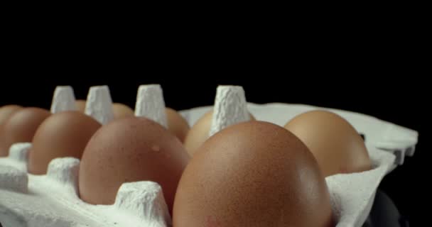 κιβώτιο αυγών super macro closeup πυροβολούν  - Πλάνα, βίντεο