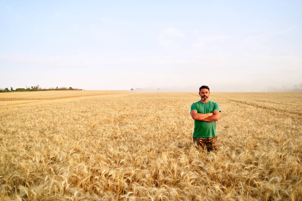 Happy farmer proudly standing in wheat field with arms crossed on chest. Agronomist wearing corporate uniform, looking at camera on farmland. Rich harvest of cultivated cereal crop. Harvesting season. - Фото, зображення