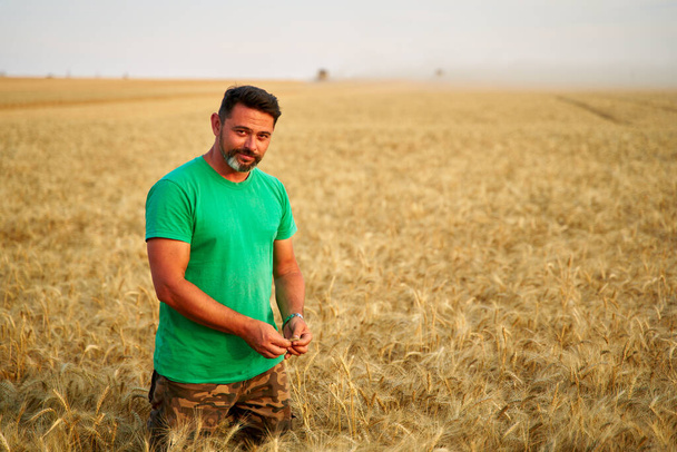 Agronomist examining cereal crop before harvesting sitting in golden field. Smiling farmer holding a bunch of ripe cultivated wheat ears in hands. Rancher at work. Organic farming concept. - Fotografie, Obrázek