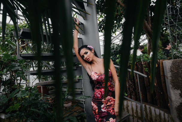 A young beautiful brunette poses near a spiral staircase in the Botanical garden among the dense thickets of the tropic forest. Spa - Photo, image