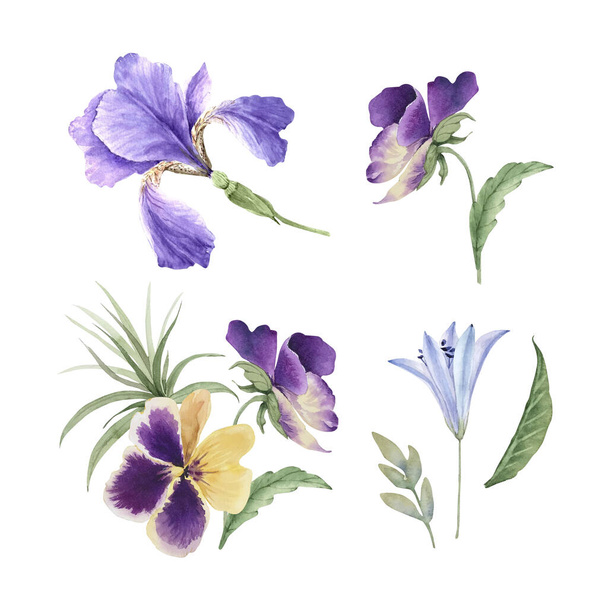 sada fialové zahradní květiny a rostliny detailní záběr, akvarel ilustrace na bílém pozadí - Fotografie, Obrázek