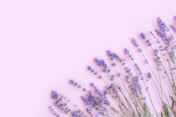Ramka wykonana ze świeżych kwiatów lawendy na jasnofioletowym tle. kwiatowe tło. Płaskie ułożenie, widok z góry, przestrzeń kopiowania. Skład kwiatów - Zdjęcie, obraz
