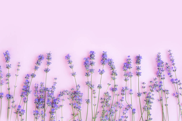 Telaio realizzato con fiori di lavanda fresca su sfondo viola chiaro. sfondo floreale. Posa piatta, vista dall'alto, copiare spazio. Composizione dei fiori - Foto, immagini