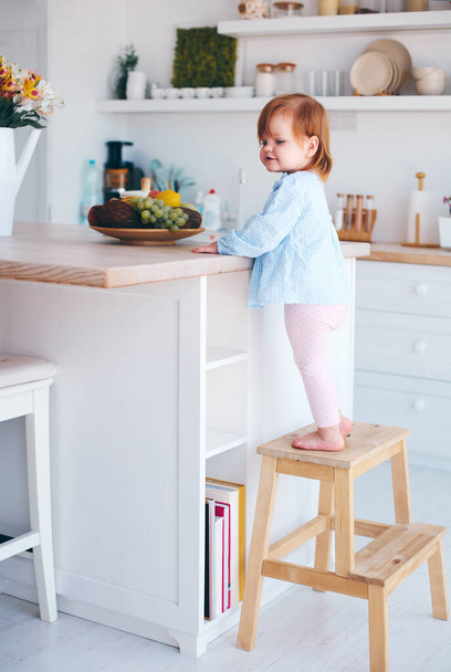 funny infant baby girl standing on a step stool at the cozy kitchen at home - Фото, зображення