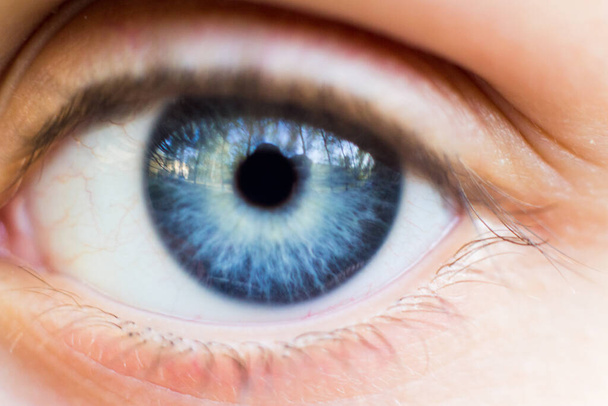 Macro shot of a blue eye - Foto, Imagem