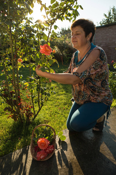 Middle-aged woman and a rose. The woman inhales the aroma of the rose at sunset. The rose shines at sunset. - Photo, Image