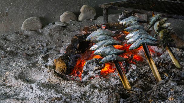 Sardinka plive v Almunecar, Costa Tropical. Esparto je typický způsob výroby sardinek na andaluském pobřeží. - Fotografie, Obrázek