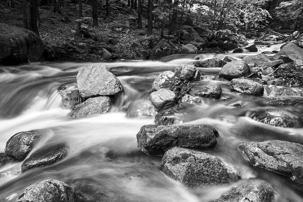 Rocks and boulders in the mountain stream in the forest in the Giant Mountains in Poland, black and white - Photo, Image