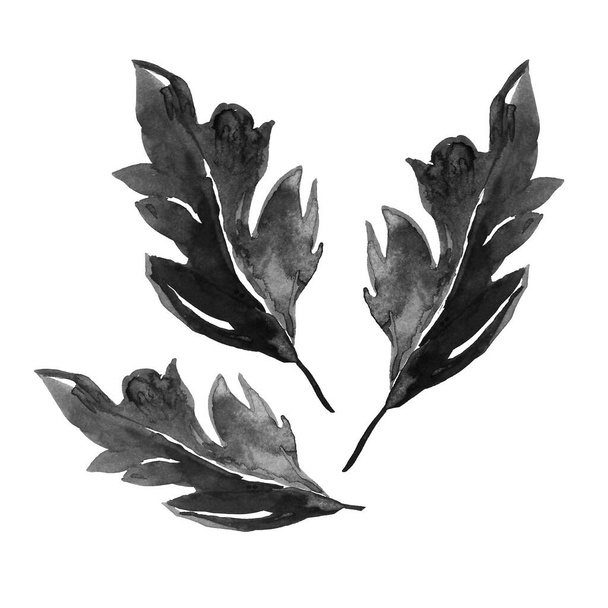 Monochrome watercolor leaves drawn by freehand ink brush isolated on whit - Fotoğraf, Görsel