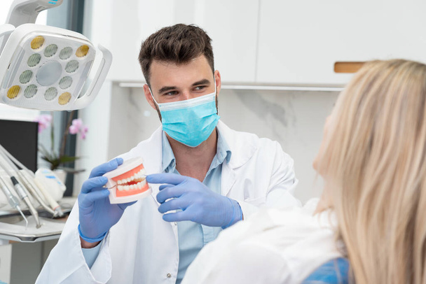 Dentist holding jaw samples tooth. Professional consultation in dental clinic - 写真・画像