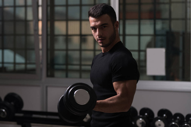 Man Working Out Biceps In A Gym - Dumbbell Concentration Curls - Photo, image