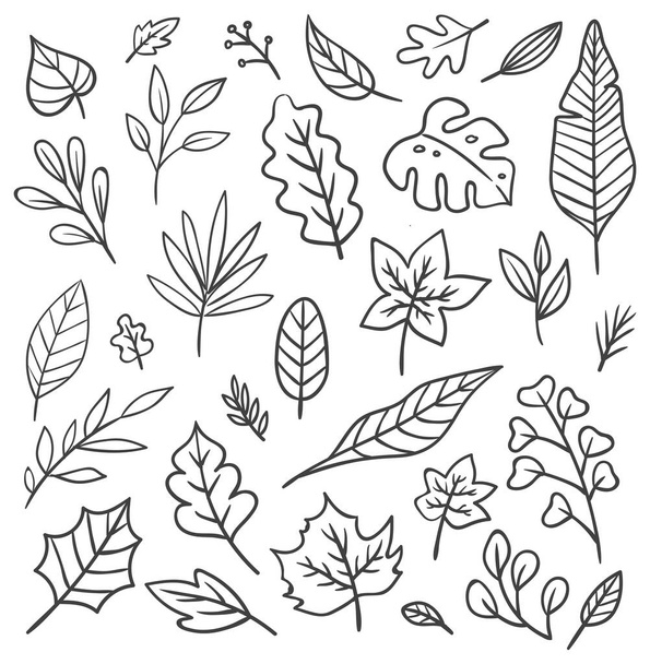 vector floral seamless leaves pattern background - Vector, Image