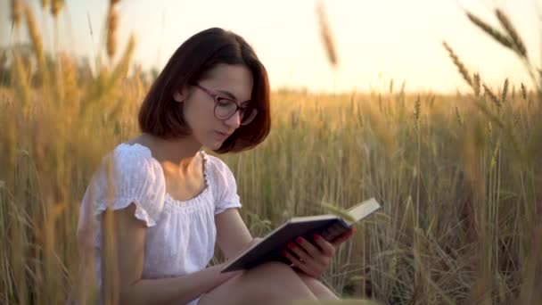 Mladá žena čte knihu ve žlutém poli. Dívka sedí v šatech v pšeničném poli s knihou v ruce. - Záběry, video