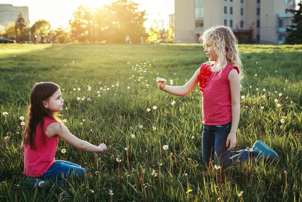 Cute adorable Caucasian girls blowing dandelions. Kids sitting in grass on meadow. Outdoor fun summer seasonal children activity. Friends having fun together. Happy childhood lifestyle. - Photo, Image