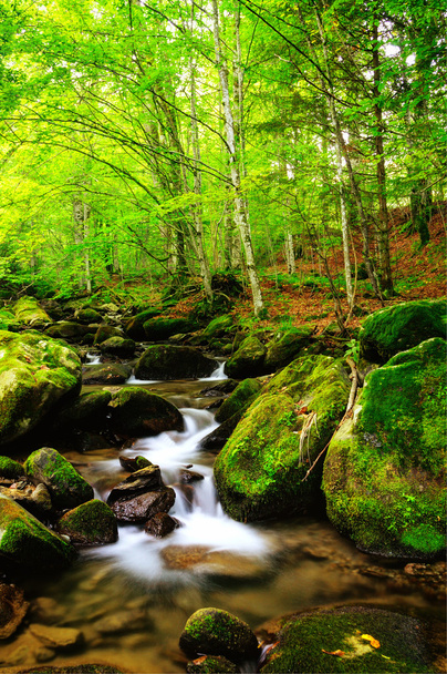 horská řeka počátkem podzimu - Fotografie, Obrázek