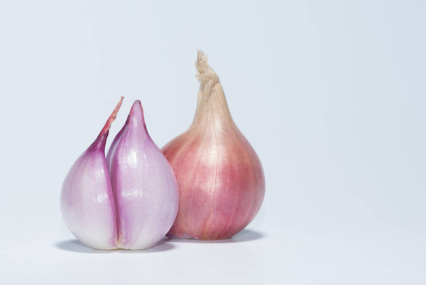 (Red onion) Allium ascalonicum white background - Fotografie, Obrázek