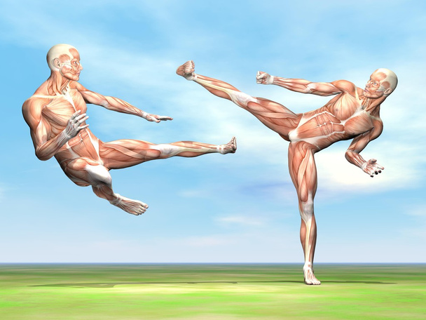 Чоловічий м'язовий бій - 3D рендеринг
 - Фото, зображення