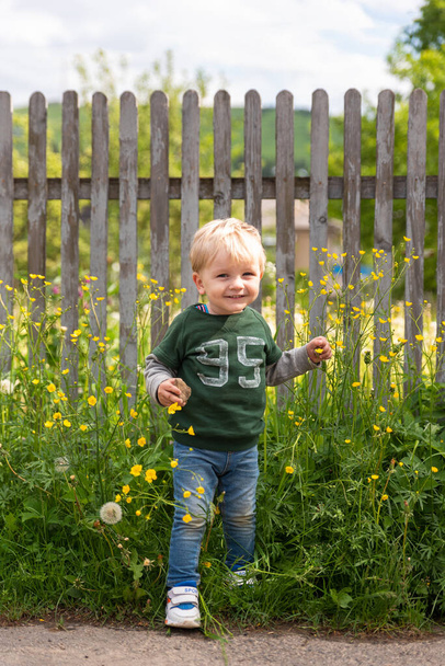 маленький красивый ребенок ходит среди травы в сельской местности
 - Фото, изображение