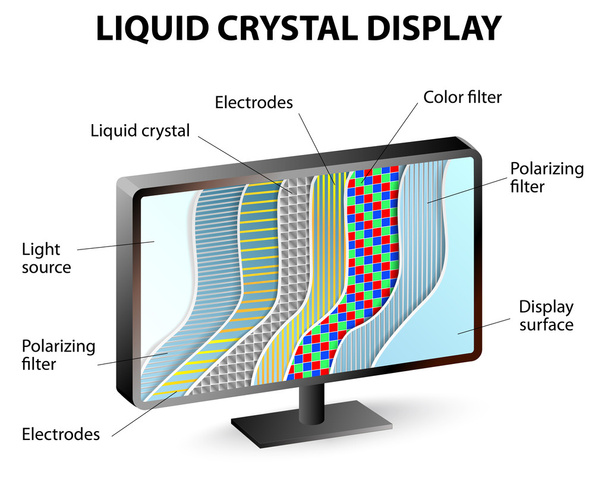 Sezione trasversale di un display LCD
 - Vettoriali, immagini