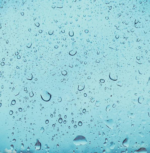 La lluvia cae sobre la viuda de cerca
 - Foto, Imagen