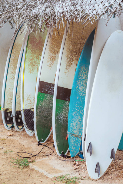 Surf boards for rent on the beach by the sea. Water sports on the trip. - Foto, immagini